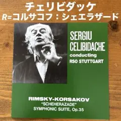 【未使用】チェリビダッケ トリノ・ライヴ映像集成 BOX [DVD] CDセット セルジウ・チェリビダッケ／ザ・ミュンヘン・イヤーズ（49CD