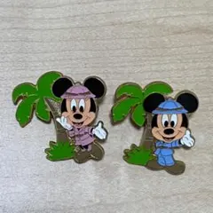 ディズニーリゾート ピンバッジ
