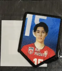 カプくじ バレーボール代表 甲斐優斗