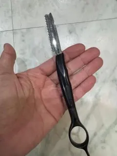 Item thumbnail for item b64dc862-fe99-487b-ac1d-b1551d86a5cd