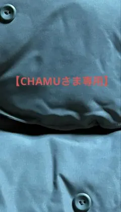 【CHAMUさま専用】