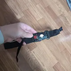 Item thumbnail for item 8087eb8c-9d9a-43e4-bf4e-f5b56b609f97