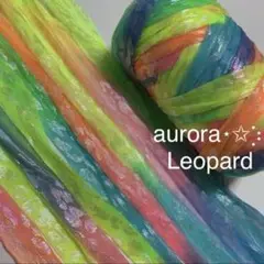 チュール レインボー