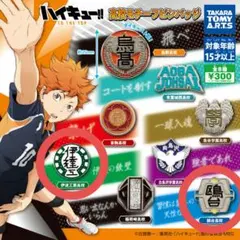 ハイキュー 校章ピンバッジ