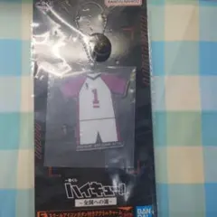 ハイキュー！！ スクールアイコンボタン付きアクリルチャーム 牛島若利