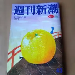 週刊新潮2025年 11月13日号