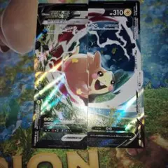 2026年最新】vunion モルペコの人気アイテム - メルカリ