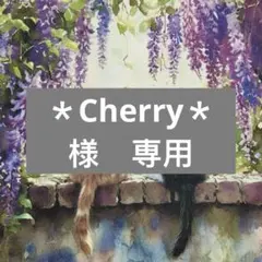 ろくママ*︎◡̈︎* プロフお読み下さい様 専用 - メルカリ