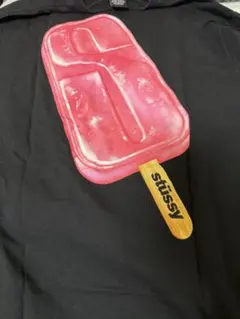 STUSSYのTシャツLサイズ