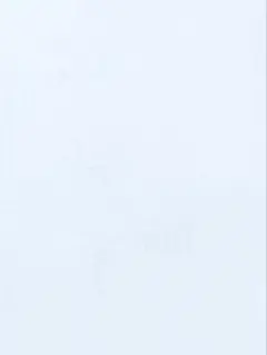 ぽぽろん様専用