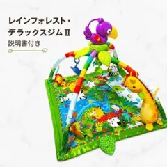 説明書付き‼️レインフォレスト・デラックスジムⅡ ベビージム　赤ちゃん　おもちゃのサムネイル