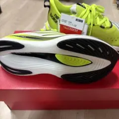 ニューバランス FuelCell SuperComp Elite v3 カーボン