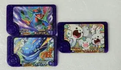 ポケモンフレンダ第5弾スーパートレジャー　ボーマンダ　ヘイラッシャ　イッカネズミ