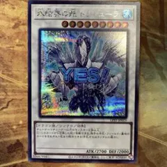 氷結界の龍トリシューラ　DTCシークレットレア 5つ目 氷結界の龍トリシューラ DTCシークレットレア 5つ目 トリシューラ 氷結