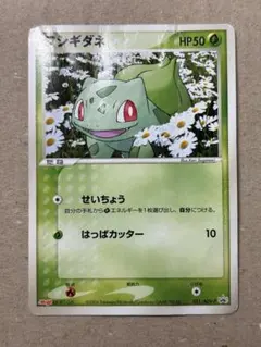 フシギダネ PROMO ADV-Pプロモカード 051/ADV-P 明治 - メルカリ