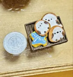 ミニチュアフード　スイーツ　クッキー　お菓子　シマエナガ　しまえなが　19