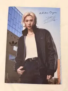 Felix フィリックス アディダス 特典 ブックレット フォトブック韓国