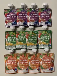 はじめてのベビーフード12個セット