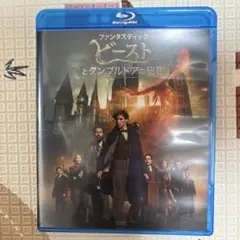 ファンタスティック・ビーストとダンブルドアの秘密