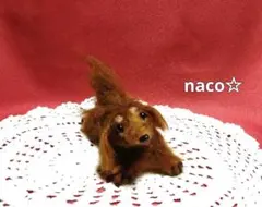 ダックス 犬 チョコタン 羊毛フェルト ぬいぐるみ ハンドメイド 微調整可能