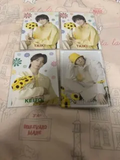 FANTASTICS sunflower フォトカード　佐藤大樹　木村慧人　世界
