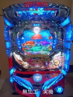□□PA大海物語4スペシャルWithアグネス・ラムShoujiOonuma様