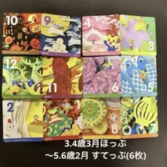 こどもちゃれんじ(年小3月〜年長12月)DVD11枚、しまじろうDVDケース