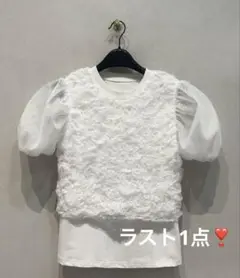 【SALE❣️】TULLE VEST LAYERED TOPS CLANE