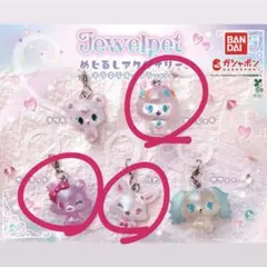 Jewelpet めじるしアクセサリー キラキラオーロラver 3点セット
