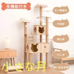 Item thumbnail for item 13d8129b-9000-4cf8-b8bf-07ffaa3fc39d