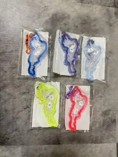 琵琶湖キーホルダー びわ湖バレイ限定 5点セット - メルカリ