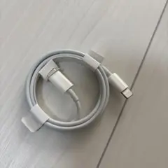 未使用 ホワイト Lightningケーブル