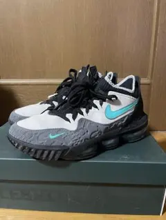 Nike Lebron 16 Low AC EP 26cm Jade