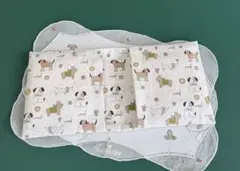 Item thumbnail for item e1e9a3ee-7c22-478e-a214-4def5be4b684