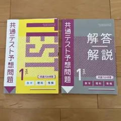 베네세 공통 테스트 예상 문제 공통 테스트 대책 진연 세미나 대학 수험