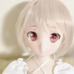 2026年最新】ddh-06 カスタムの人気アイテム - メルカリ