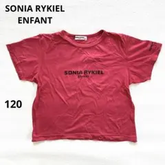 ❣️ソニア・リキエル・アンファン❣️半袖Tシャツ ロゴ ピンク レッド 赤120のサムネイル