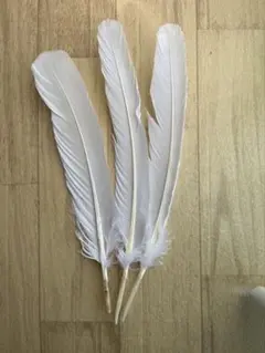 Item thumbnail for item da933d35-80d8-45f5-909e-0ed92496e12e