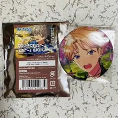 あんスタ コレクション缶バッジ 2025 Feb. casual 鳴上嵐