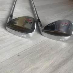 Item thumbnail for item 43590213-2941-4f1a-9373-8ba7022d4637