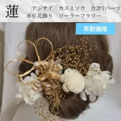 早割ホワイトゴールド蓮髪飾り成人式振袖結婚式和装ドライフラワカスミソウ七五三水引