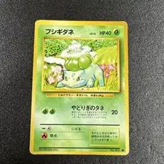 旧裏　希少　フシギダネ　第1弾拡張パック　p595