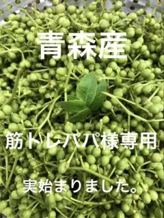 クール便！青森県産 実山椒 ☆採れたて 500g+増量中 ☆値引き可 - メルカリ