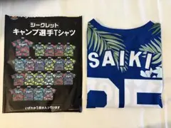 かなやん様 リクエスト 2点 まとめ商品