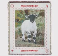 MaisonSTRAYSHEEP STRAYSHEEP RUG