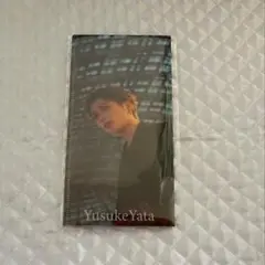 ___ 矢田悠祐 チケットホルダー