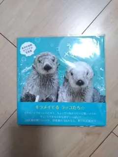 数量限定・即完売！ 鳥羽水族館 ラッコ メイちゃん お誕生日 福袋 （22