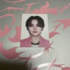 Stray Kids スキズ リノ DO IT IDフォトステッカー