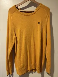 American Eagle Outfitters 黄色　セーター M