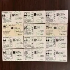 エイシンヒカリ 国内全１１戦現地単勝馬券セット 2025年最新】Yahoo!オークション -競馬 馬券の中古品・新品・未